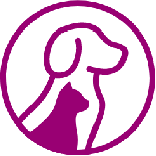 庭苑墓のこれからについて